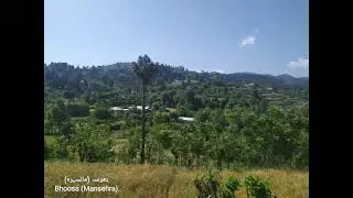SMS Traders 🇵🇰 | Beautiful Pakistan | Tour To Mansehra | Pakistan | 1
