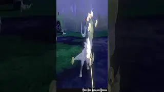 Playing Feather Wand with Hakamo-o #shorts