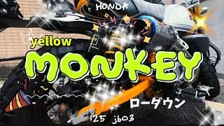 280mmリアサス純正ー50mmに交換したらどうなる⁈| MONKEY125 |おじじの休日バイクVLOG
