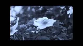 Dirty Three - Sea Above, Sky Below