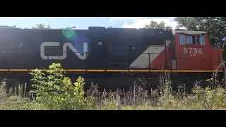 CN 5736,CN 3946 & CN 3018 Leading A Westbound Mixed Frieght @Pine Lake Rd Crossing Pennfield 8/30/23
