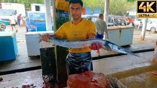 Huge Hound Two Fish cutting | 2 Garfish Cutting | fish cutting Amitha