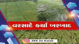 Valsad Farmers Hit Hard: Heavy Rain & Wind Destroy Crops, MP Appeals for Government Aid