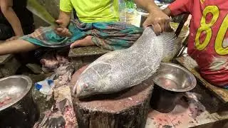 Barramundi Fish Cutting | Step-by-Step Cleaning & Slicing Guide
