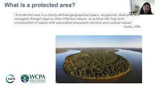Perspectives on area‐based conservation and its meaning for future biodiversity policy