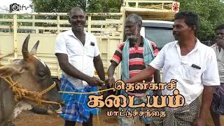 kadayam cow market | கடையம் மாட்டு சந்தை | joe tv
