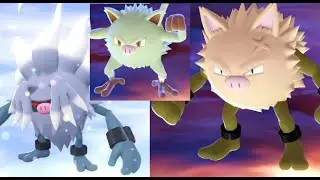 【ポケモンZA】親分マンキー色違い入手オコリザル進化コノヨザル【M次元ラッシュ】攻略DLC実況