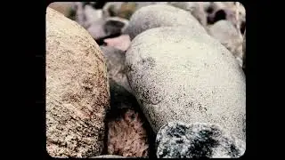 A Serpent's Tale I Experimental Horror Short