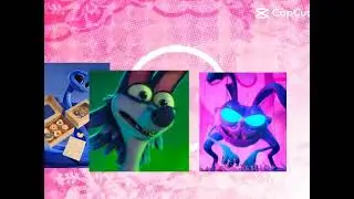 Night of the Zoopocalypse Sahara 2017 Koati Movie Back to the Outback Gracie Meet Ajar Nachi Maddie