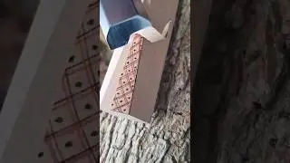 Professional artist carving intricate patterns on wood using a sharp chisel