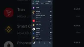 How to add token manually & automatically in trust wallet