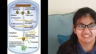 Binalogy Episode 5: Gene Expression and Biotechnology