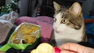 Deluxe Hand cooked chips Rosemary flavor - taste test