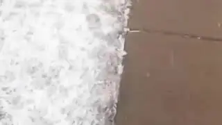 What is sleet? Timelapse