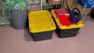 Hoyas and Chlorinated Tap Water