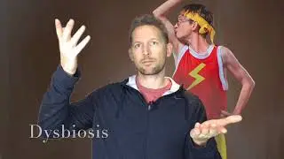 Exercise and gut bacteria