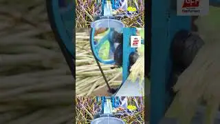SUGARCANE JUICE | Making Farm Fresh Healthy Juice | Natural Juice | Summer Health Drinks