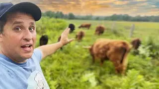 Touring a Vermont Hill Farm | 360 VR Farm Tour