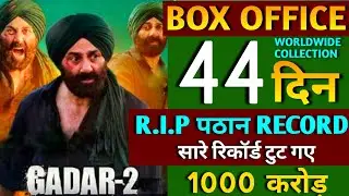 🔥Gadar 2 Day 41 Collection, Gadar 2 Day 40 Box Office Collection, Gadar 2 Collection, #gadar2