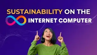 Is the Internet Computer sustainable?