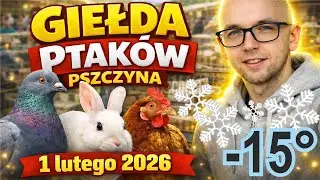 Pszczyńska Giełda Ptaków- Zobacz te Rarytasy !  1 Lutego 2026