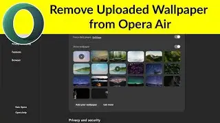 How to Remove Uploaded Wallpaper from Opera Air Browser?