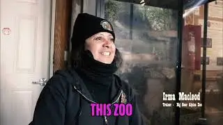 Big Bear Alpine Zoo: Unique Animal Rehabilitation Center