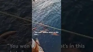 Wild Alaska in One Frame 🦅🦭🌊 | Sea Lions & Bald Eagle Together!