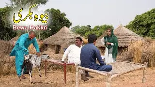 #Bewa Bakkri #Airport Anam & Rocket New Punjabi Comedy | Funny Video 2020 | Chal TV