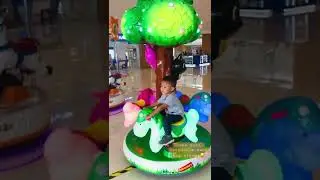 Mini-Carousel Ride