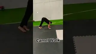 Camel Walk #shorts #camel #bodyweighttraining #youtubeshorts