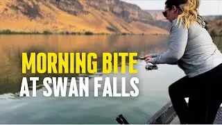 Morning Bite At Swan Falls