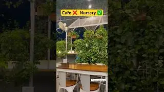 Green House Cafe Jankipuram Lucknow | food vlog | #cafe #greenhouse #trending #viral #shorts