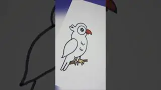 How To Draw a Cute Owl Step By Step !🦉