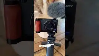 New small rig wood grip 😍 #shorts #sony #sonyzv1 #smallrig