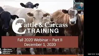 USDA Cattle and Carcass Training &ndash; The Science Behind the Grade