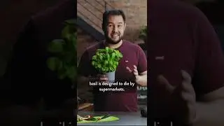 Learn how to propagate basil