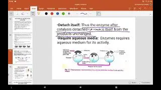 Chapter 3 Enzyme Lecture 3/ Mechanism of Enzyme action/ active site/ Lock and Key/Induce fit model