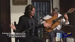 39 Semana Cultural Flamenca, al cante: Manuel de la Tomasa FACEBOOK: Canal Palma del Río