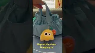 Beyond the vines dumping bag xs #beyondthevines #bag #travel #singapore