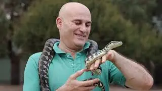 Snake Encounter