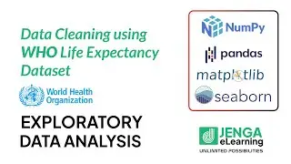 Case Study (Part 2) : Data Cleaning using WHO Life Expectancy Dataset