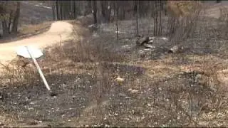 Bushfire burns in East Gippsland