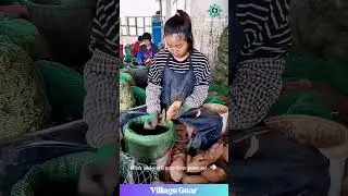 Their Sweet Potato Peeling Skills Are on ANOTHER LEVEL!🤯 My Peeler is Crying in the Drawer! #potato