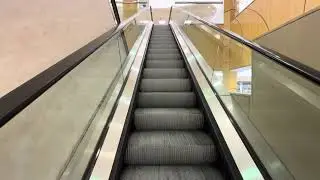 Schindler 9300 Medium-File Escalators ~ Dillard’s - Countryside Mall ~ Clearwater, FL