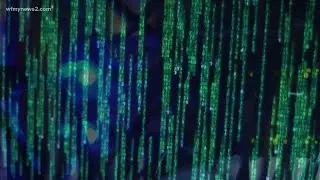 Why are ransomware attacks becoming more common?