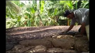 ECOAGRO/ CONSTRUCCION DE CASA ECOLOGICAS