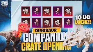 NEW HOLA BUDDY DINOSAUR COMPANIONS OPENING/150k UC SPEND