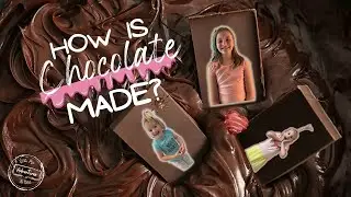 How do they make Beans into Chocolate Bars?!   Check out the French Broad Chocolate Factory!