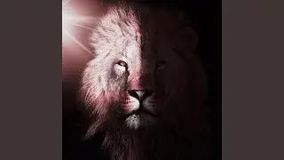 SHADOW LION (Midnight Circle Version)